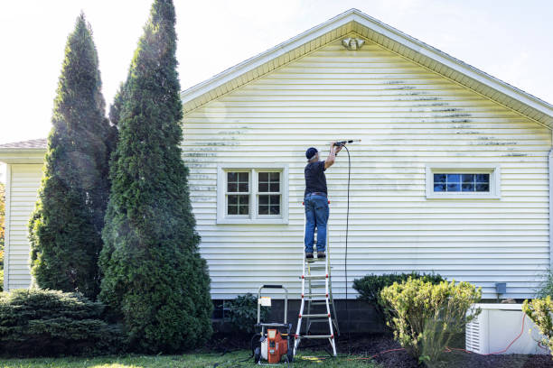 Best Patio and Deck Pressure Washing  in River Oaks, TX
